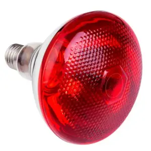 Dotted Infrared Thickened Heating Lamp Breeding Bulb (250W)