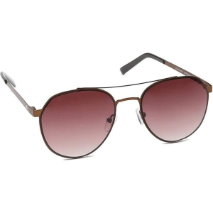 Brown Aviator Men Sunglasses