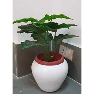 8 Inch White Apple Shape / Oval Shape Flower Pot