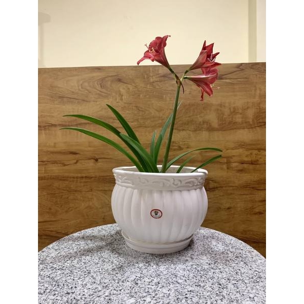 Kanha Matki 12 Inch Flower Pot ( With Plate ) For Indoor Outdoor Garden - Image 3