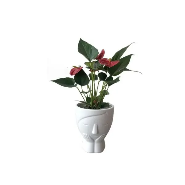 5 inch Elegant ceramic Face Planter Perfect For Desktops , Windowsills Or Coffee Tables - Image 3