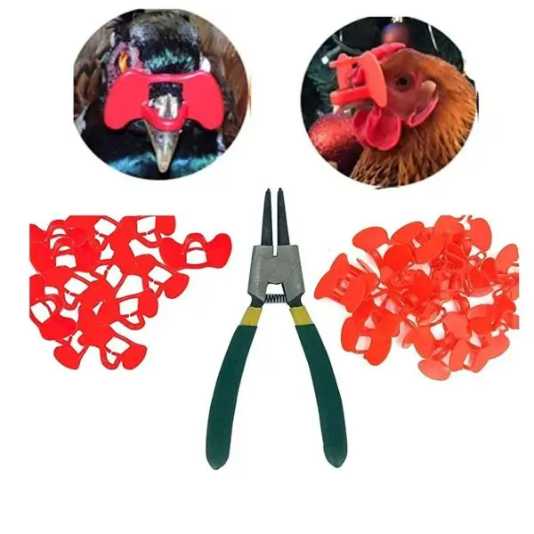Chicken/Pheasant Eye Blinder For Anti Bite 100 Pcs Pinless - Image 2