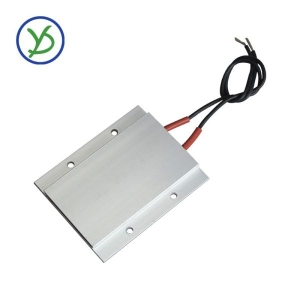 Egg Incubator 220V