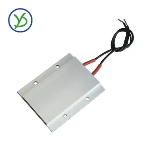 Egg Incubator 220V
