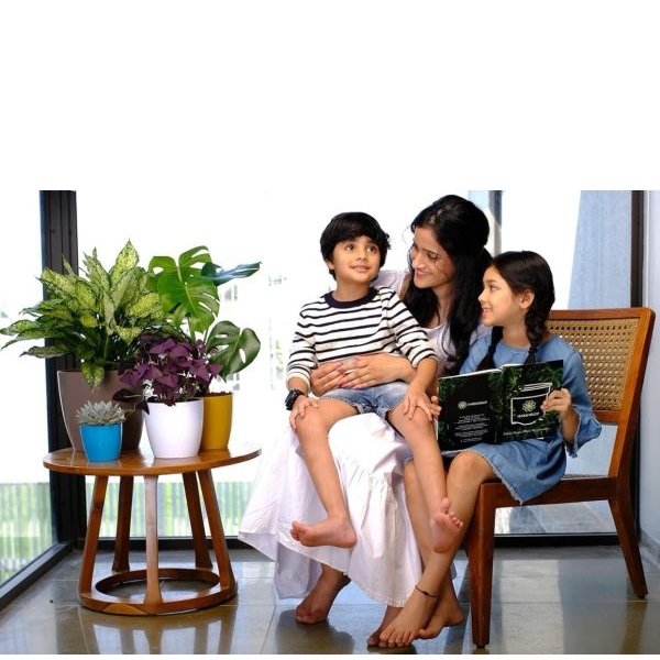 3pcs 5.5 Inch Table Top Indoor Planters Plant Container - Image 3