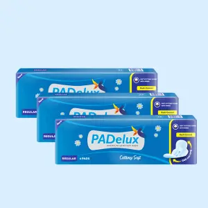 PADelux Sanitary Pads Cottony Soft 240 mm-6 Pads (pack of 3)