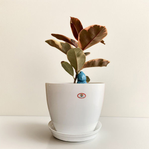 8 Inch Cool Flower pot (With Plate) / Planter For Indoor Outdoor Garden