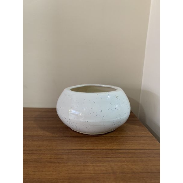 Small White Bonsai Bowl Planter Succulent Plant Pot - Image 2