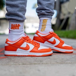 SB Dunk Red Premium Sneakers for Men