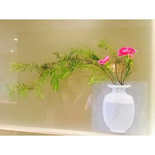 Elastix Anti Gravity Sticky Vase, Silicone Magic Vase, Unique Decoration For Cozy House, Restaurant, Perfect Gift - Image 2