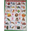 English Alphabets & Rhymes Chart / ABCD Chart 12" x 24 "By Mitrata