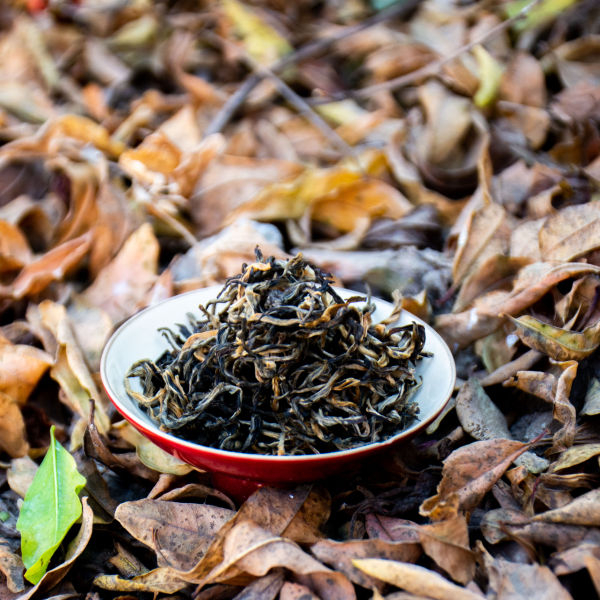 E.verest Gold Tea™ - 100GMS - Suiro Teas - Image 2