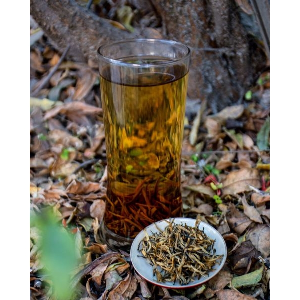 E.verest Golden Peak Tea™ - Big Tin - 100GMS - Suiro Teas - Image 4