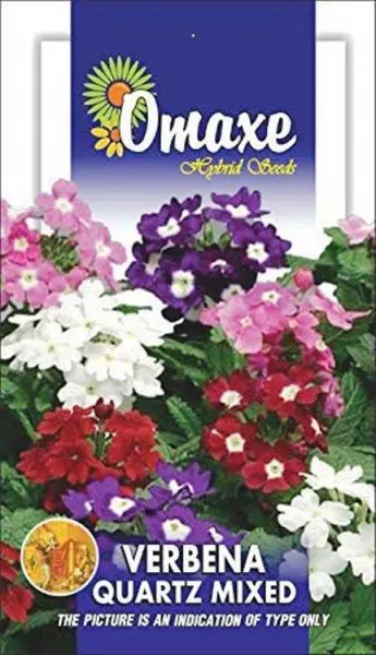 Excellent Quality Selected Verbena quartz mixed Flower Seeds Pack