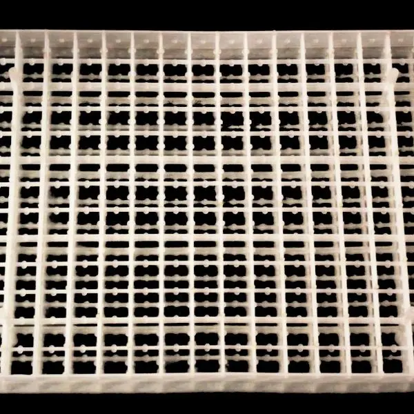 Quail Incubator Tray - Image 2