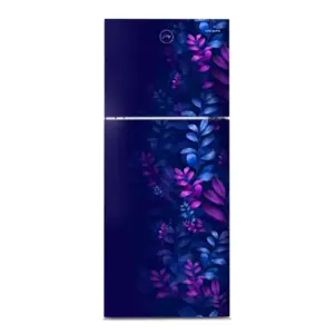 Godrej 238 Liter Double Door Refrigerator
