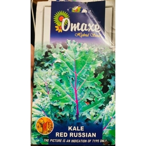 Vegetable Seed - 1 Packet KALE RED RUSSIAN Omaxe Seeds By Savyata Stores For Kitchen Garden