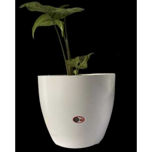 8 Inch Cool Flower pot / Planter For Indoor Outdoor Garden