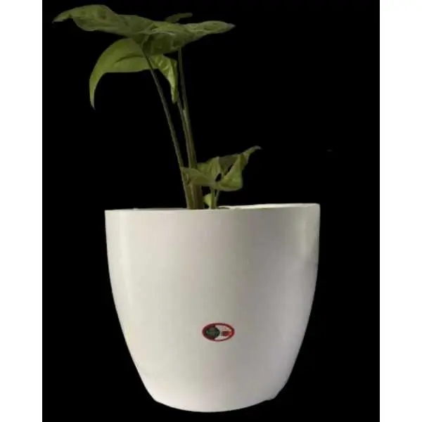 8 Inch Cool Flower pot / Planter For Indoor Outdoor Garden