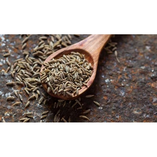 Organic Rajasthani Whole Jeera ( Cumin ) Natural & Fresh - Image 2