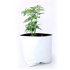 Grow Bag Small (10 pc)