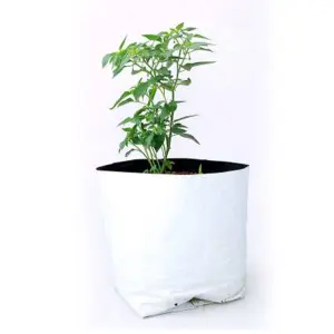 Grow Bag Small (10 pc)