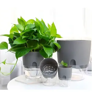 Self Watering Pot