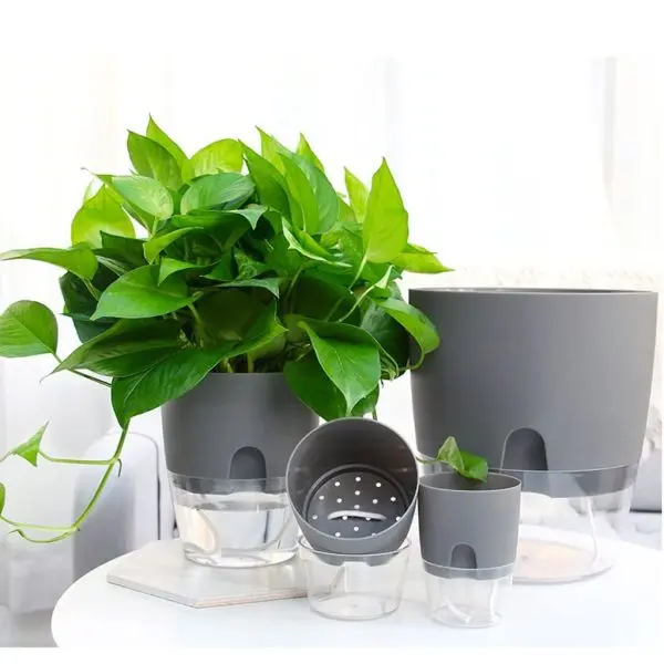 Self Watering Pot