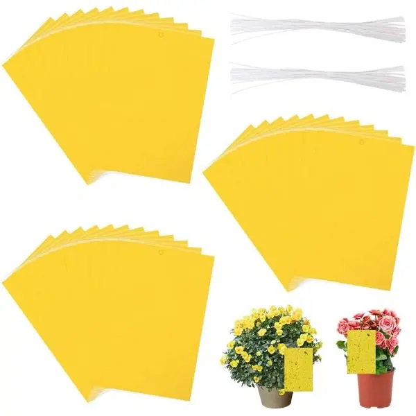 2Pcs Yellow Sticky Traps For Insects / Glue Traps / Whiteflies Thrips For Garden and Farms - Image 3