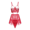 Fancyra Elegant Lace Chemise with Mesh Overlay