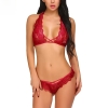 Fancyra Lace Lingerie Set for Women Transparent Bra & Panty Set Criss-Cross Halter Bralette Fancy Nightwear & Intimate Wear