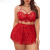 Fancyra Red Lace Summer Lingerie for Women Set Chemise and Panty – FR-LACE-01