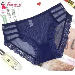 Fancyra Women Lace Transparent Panty Free Size Blue Color
