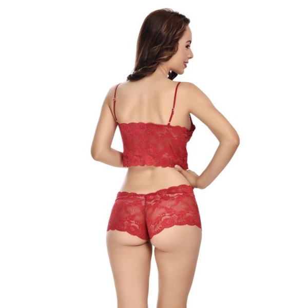 Fancyra Women Net Lace Bra and Panty Lingerie Set - Image 5