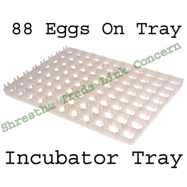 Incubator Eggs Tray Chicken - Image 4