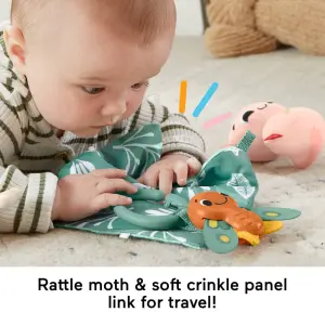 Fisher-Price So Many Senses G