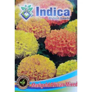 Flower Seeds - Marigold African Mixed Seeds 40 Plus Seeds