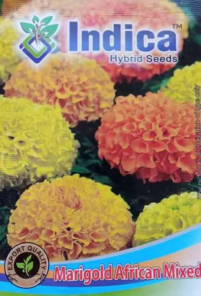 Flower Seeds - Marigold African Mixed Seeds 40 Plus Seeds