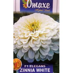 Flower Seeds - White Zinnia Flower Seeds - 50 Plus Parbati Flower seeds