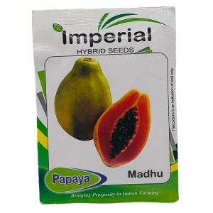 Fruits Seed - 1 Packet Papaya Madhu Seeds By Savyata Stores For Kitchen Garden