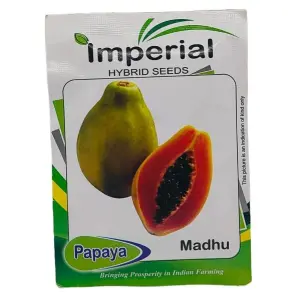 Fruits Seed - 1 Packet Papaya Madhu Seeds By Savyata Stores For Kitchen Garden