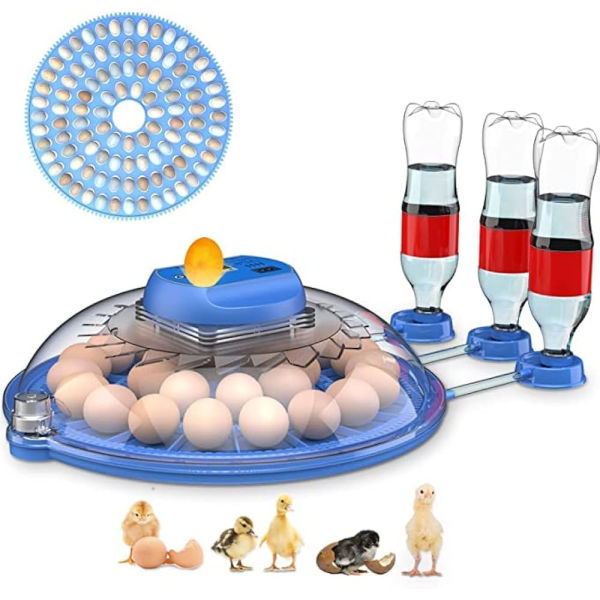 Full Automatic Incubator With Dual Mode 220v/12v Dc 52 Capacity - Image 3