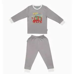 Fulll Sleeve Cotton Co-ord Set By Zuvara - Dino City
