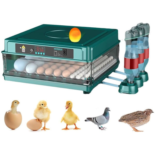 Fully Automatic 72 Chicken Eggs Incubator & Hatcher Dual Power 220v And 12V Dc - Image 3