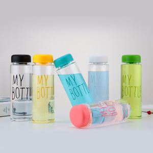 Glass Water Bottle With Twist Lid (500ml)
