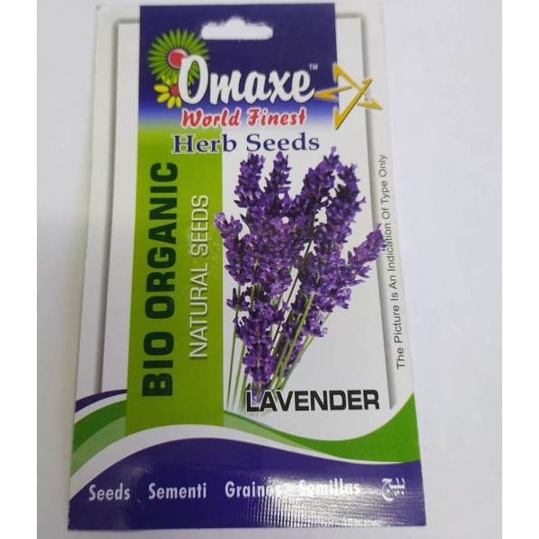 Herb Seeds - 20+ Loose Packed Seed Of Lavender Seeds - Image 4