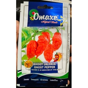 HOTTEST FIRE PEPPER Seed - 1 Packet BHOOT JHOLKIA GHOOST PEPPER Omaxe Seeds By Savyata Stores For Kitchen Garden