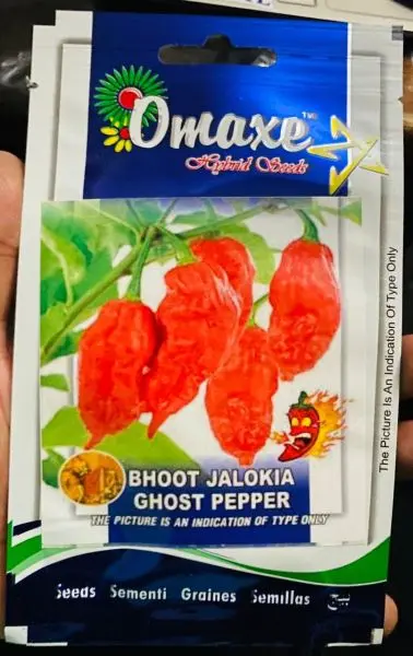 HOTTEST FIRE PEPPER Seed - 1 Packet BHOOT JHOLKIA GHOOST PEPPER Omaxe Seeds By Savyata Stores For Kitchen Garden