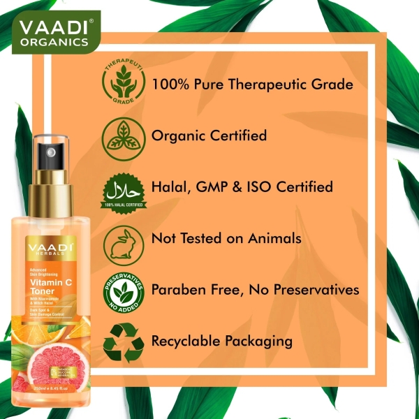 VAADI Vitamin C Cleansing Milk With Toner (250 ml) (Pack of 2) - Image 3