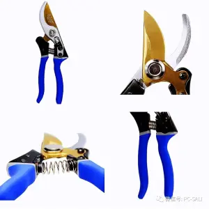 SALI Hedge Shears